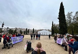 Las 'Mujeres Progresistas' de Toledo dicen que luchar contra la violencia de género «no consiste en reunir cuatro veces contadas el Consejo Local»