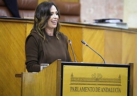 Andalucía se convierte en la primera comunidad con una Ley de Vivienda propia