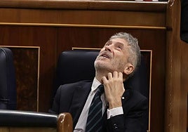 Piden la comparecencia de Marlaska en el Parlamento Europeo para aclarar las agresiones de los narcos a los policías