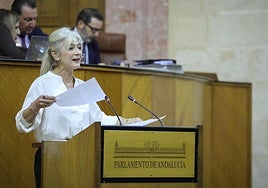 La nueva Ley de Patrimonio Cultural actualiza el catálogo y la protección de bienes