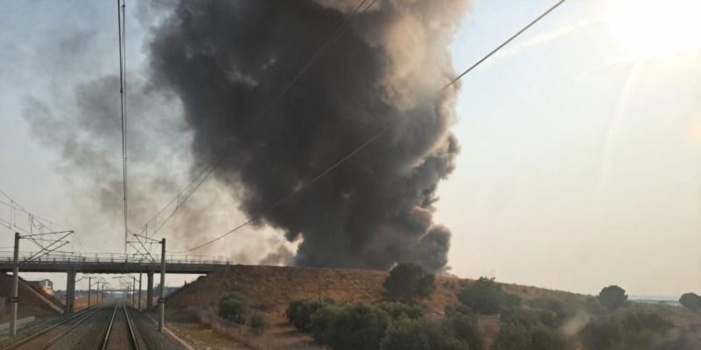 El Gobierno comienza este miércoles a pagar las ayudas a agricultores y ganaderos de Castilla-La Mancha afectados por los incendios forestales