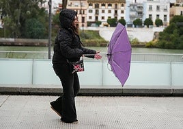 Alerta amarilla por vientos de más de 70 kilómetros en dos provincias de Andalucía