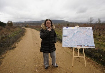Castilla y León pide al Gobierno una conferencia sectorial sobre la peste porcina