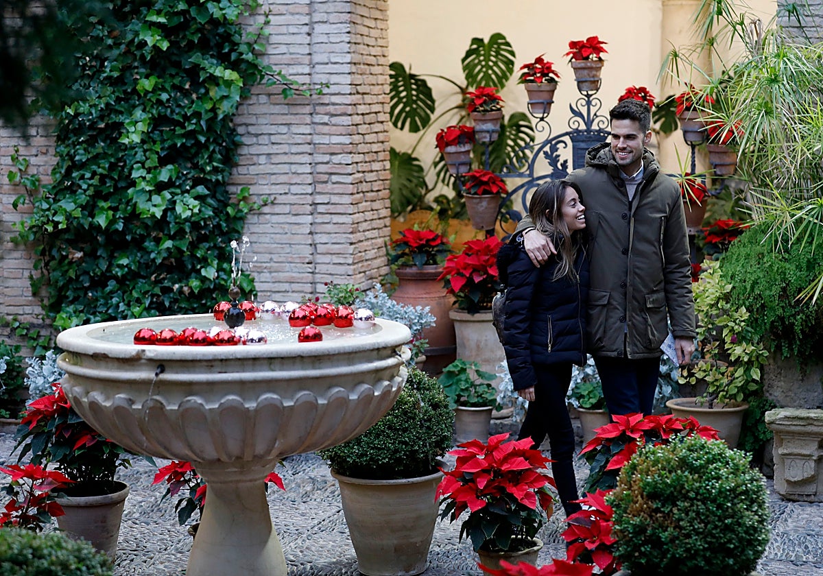 El Palacio de Viana se engalana por Navidad