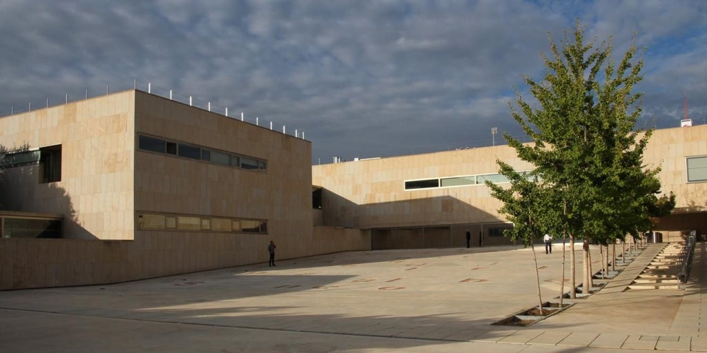 CCOO alerta del aumento «extremadamente grave» de intentos de suicidio en centros educativos de Toledo y exige una respuesta inmediata