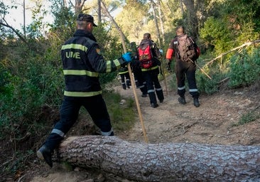 La peste porcina en Cataluña enciende las alertas del sector ibérico en Córdoba
