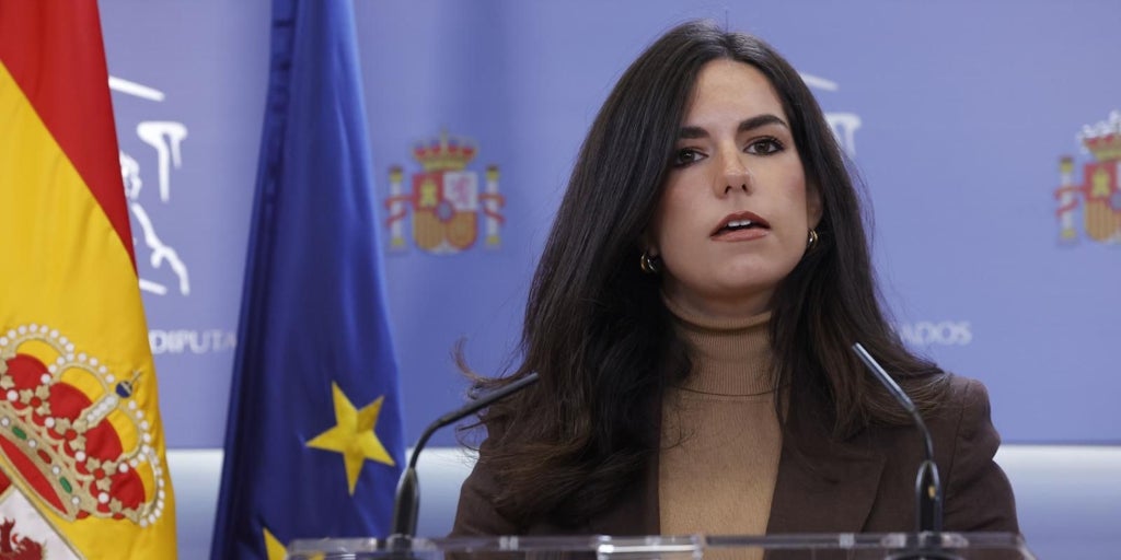 Vox se borra también del izado de la bandera por el Día de la Constitución