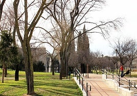 El cerro Almodóvar inicia su metamorfosis: pista de skate, gimnasio al aire libre, área de perros y más árboles