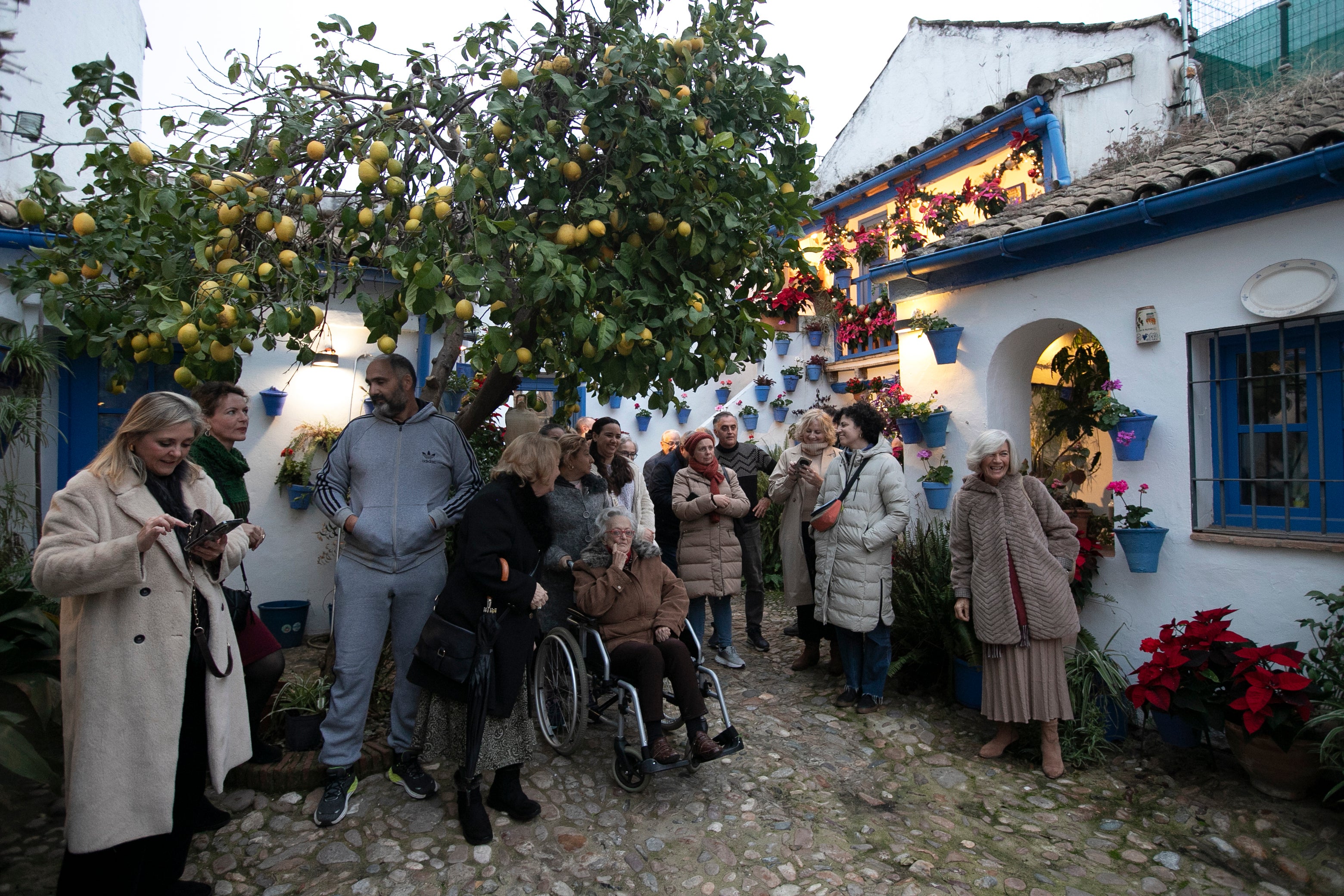 El aire navideño de los patios de Córdoba, en imágenes