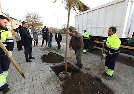 Toledo impulsa su transformación verde con un Plan de Arbolado que suma más de 2.000 nuevos árboles