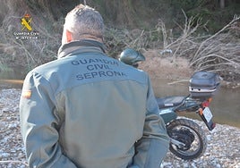 Detenido un furtivo denunciado por los cazadores por abatir un macho montés en Valencia