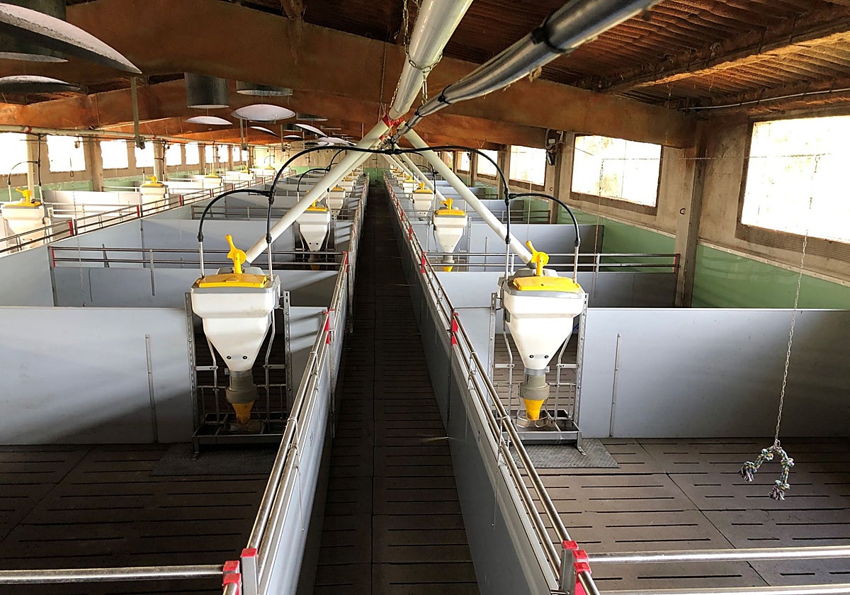 Instalaciones de una granja de engorde de cerdos