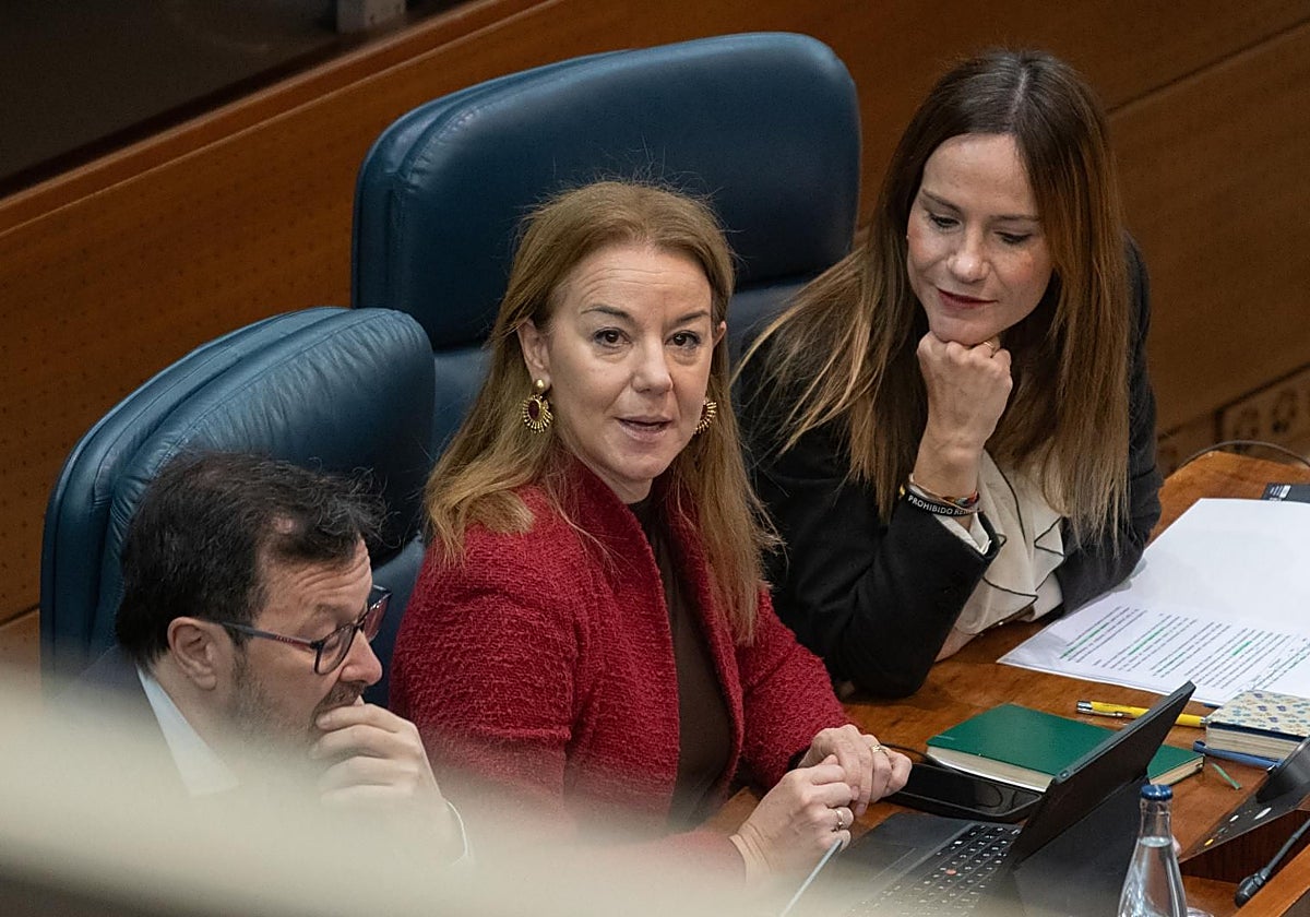 Los diputados de Vox José Antonio Fúster, Ana Cuartero e Isabel Pérez Moñino, en la Asamblea