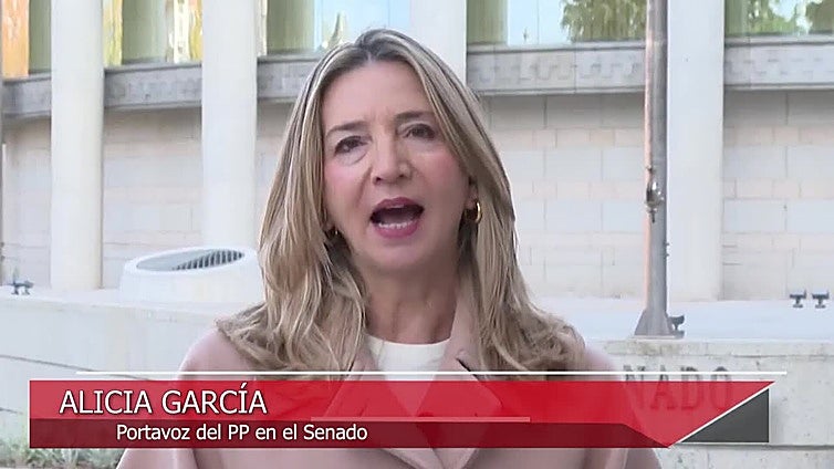 El 'caso Salazar' llega al Senado: El PP citará a Paco Salazar a la comisión del 'caso Koldo'