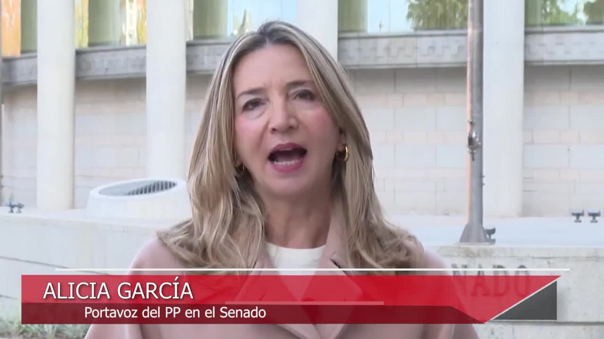 El &#039;caso Salazar&#039; llega al Senado: El PP citará a Paco Salazar a la comisión del &#039;caso Koldo&#039;