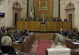 El Parlamento celebra 'mega plenos' con varias leyes para aprobar