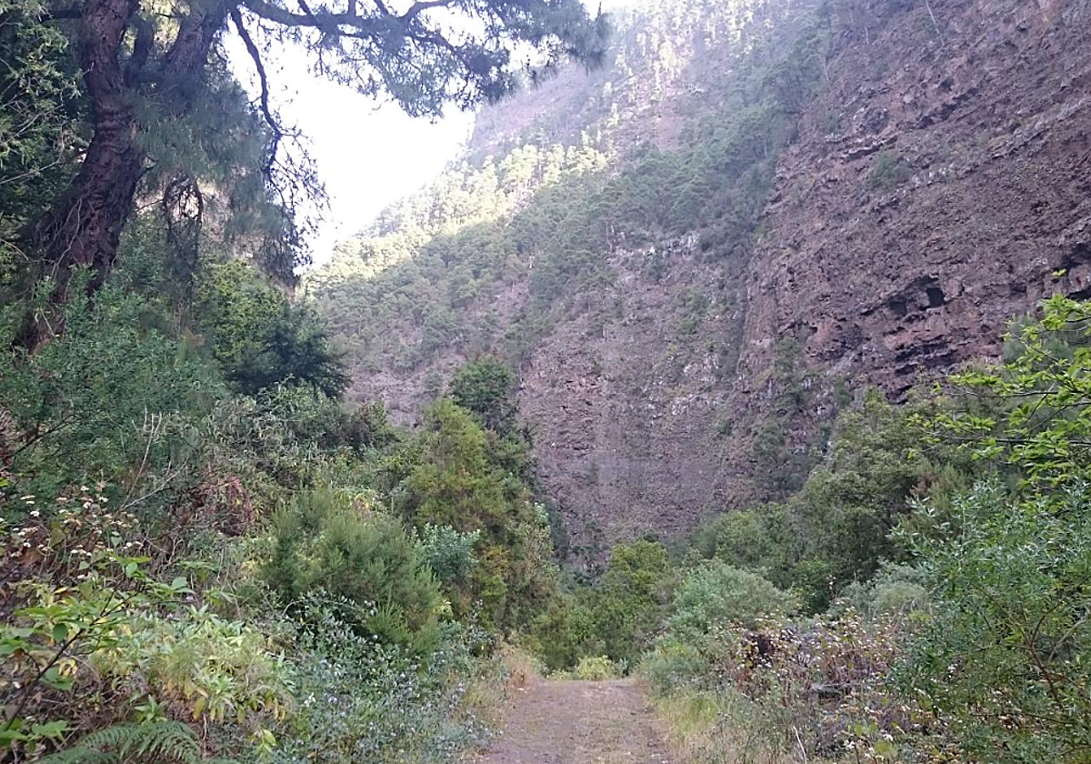 Barranco del Río