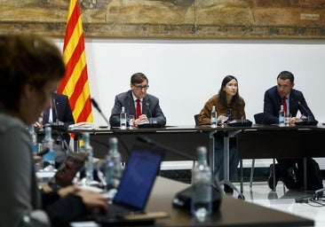 La Generalitat declara la «emergencia» para poder contratar por la vía de urgencia contra la peste porcina