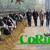 Clun y Leite Celta se asocian para crear un nuevo gigante del lácteo gallego: CoRural