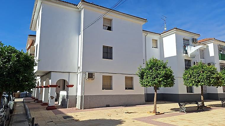 Part of the blocks in which Fomento will act in Puente Genil