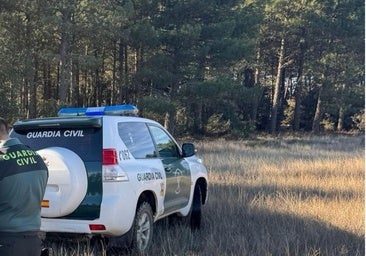Detenido un investigado por violencia de género al quebrantar la orden judicial que le impedía tener armas