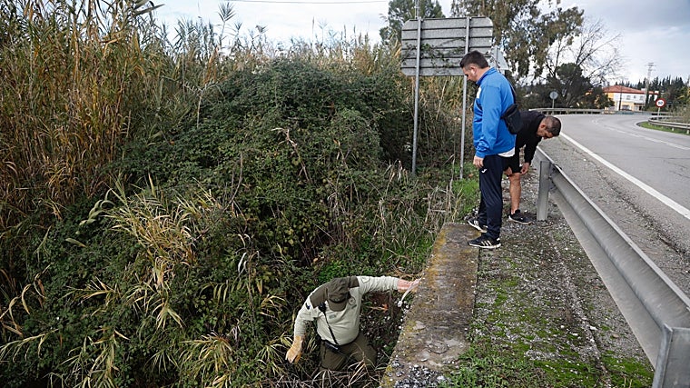 Search for missing man in Alhaurín el Grande