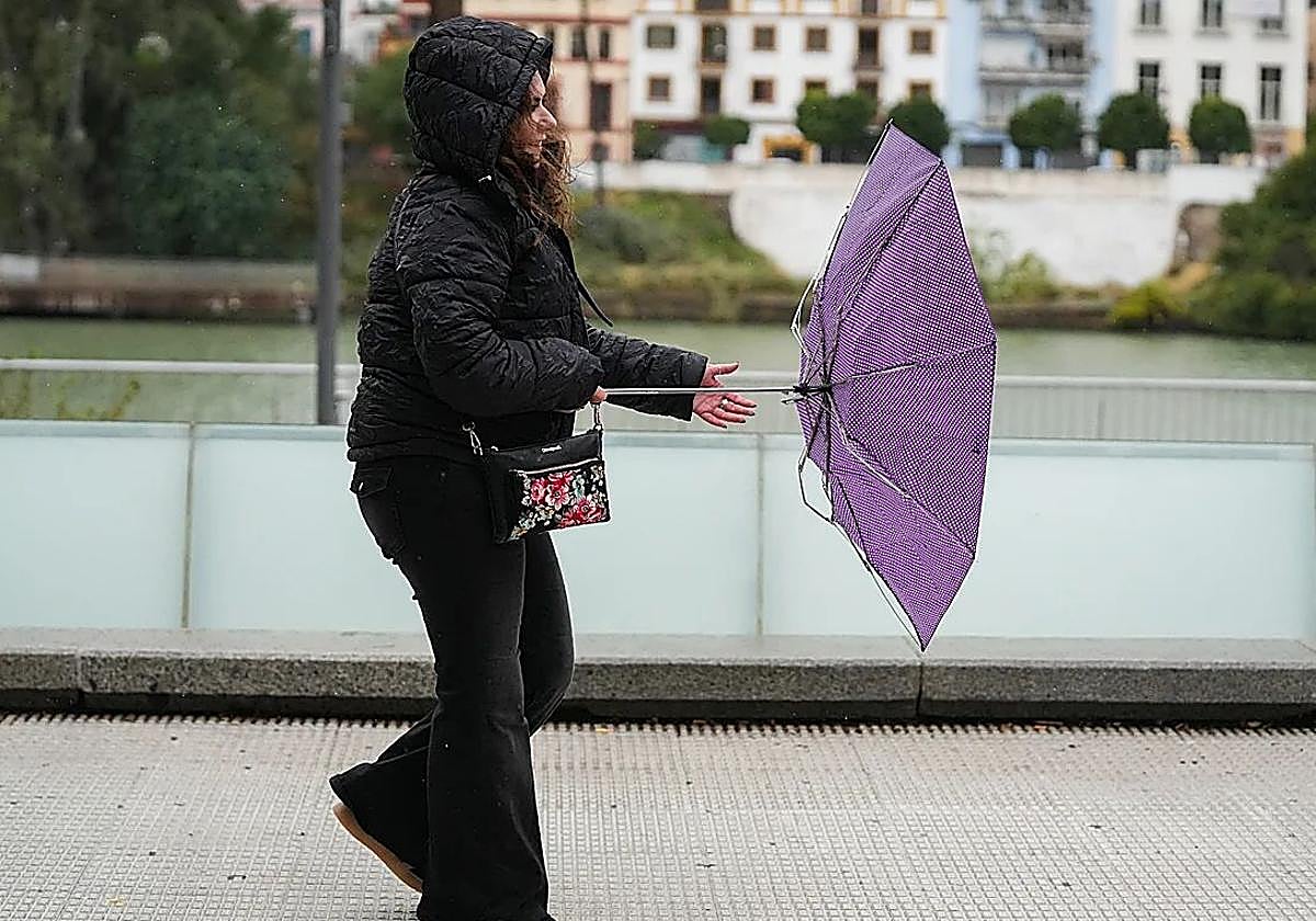 https://s1.abcstatics.com/abc/www/multimedia/espana/2026/01/04/MALAGA-kO0H-U1014952682026HC-1200x840@diario_abc.jpg