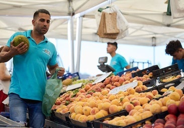 La Junta habilita las líneas de ayuda a los autónomos para 2026 que oscilan entre 960 y 3.000 euros
