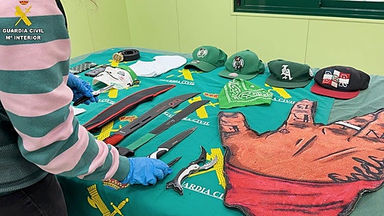 Cae una banda formada por Trinitarios, Blood y Forty-Two en Villalba por múltiples delitos