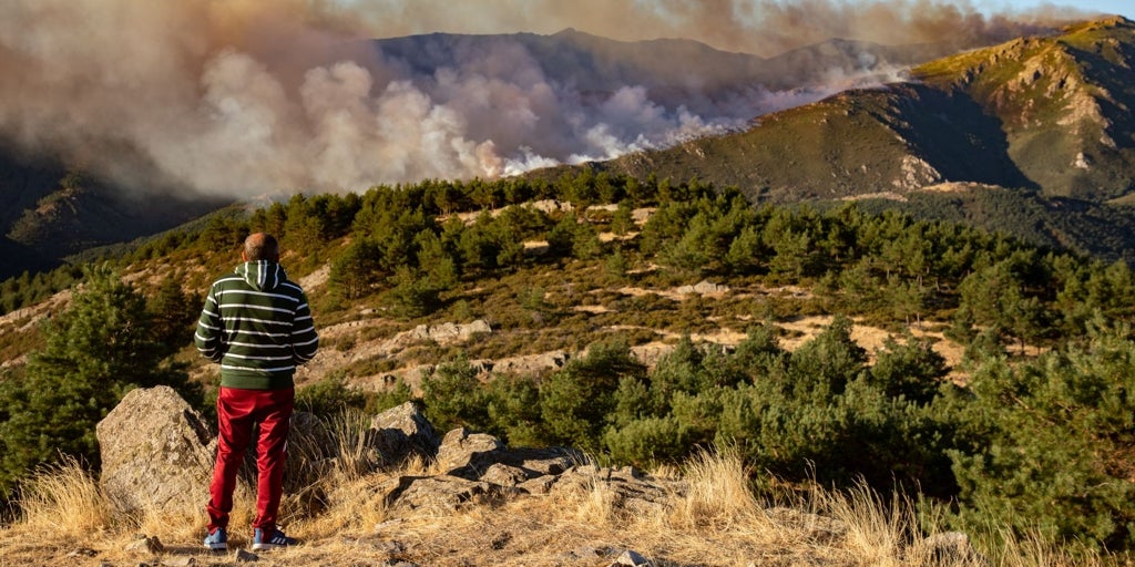 La Junta aprobará este martes destinar 48 millones a la prevención de incendios forestales en Castilla-La Mancha