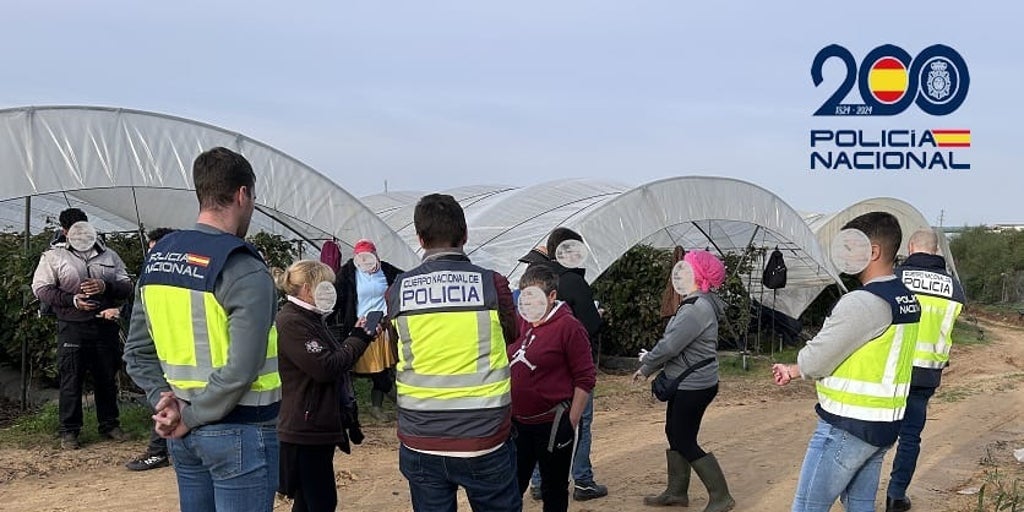 Detenido un hombre en Huelva por explotación laboral y sexual de migrantes irregulares contratadas en el sector agrícola