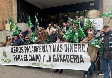 Un centenar de ganaderos se concentra en Ciudad Real para exigir indemnizaciones por las pérdidas de la lengua azul