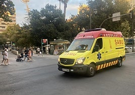 Hospitalizados dos niños de dos y cinco años por atropellos el mismo día en Valencia