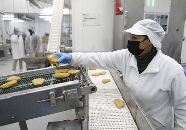 Urbanismo adjudica a La Perla Food la parcela para su nueva fábrica en Rabanales 21