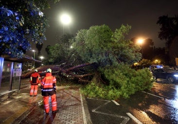 La gestión de emergencias se abre un hueco exitoso en el Ayuntamiento tras un intenso año de episodios