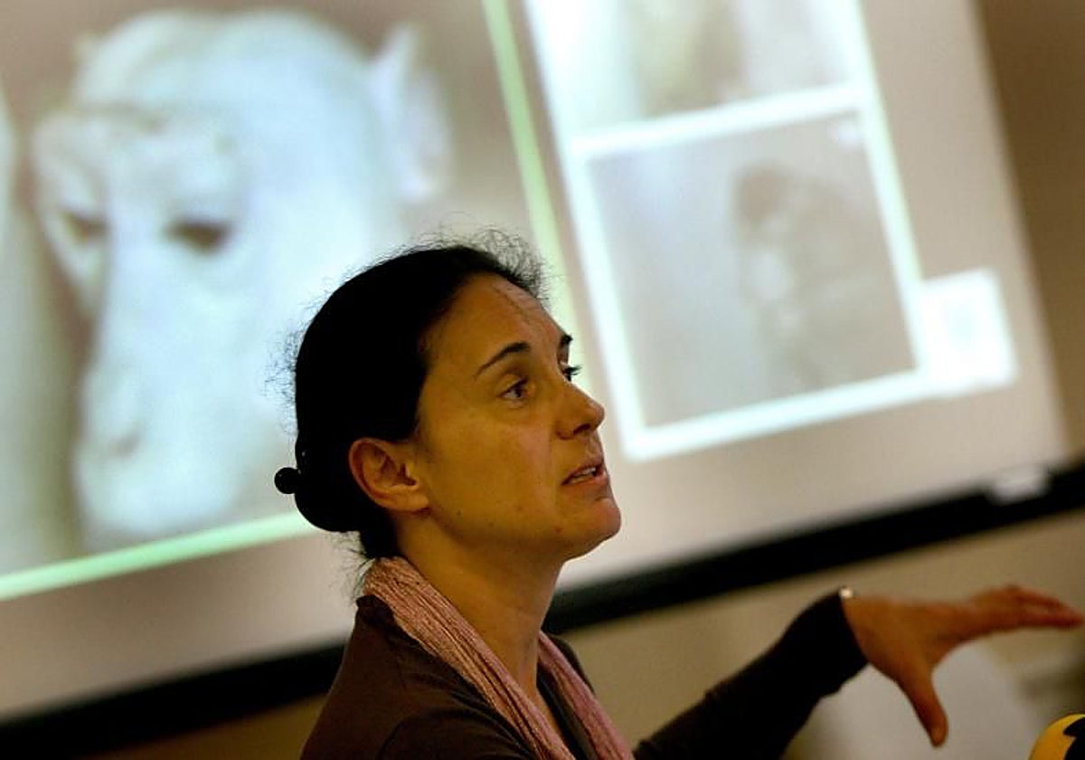 Condenada a tres años de cárcel la doctora Almudena Ramón por estafar a ...