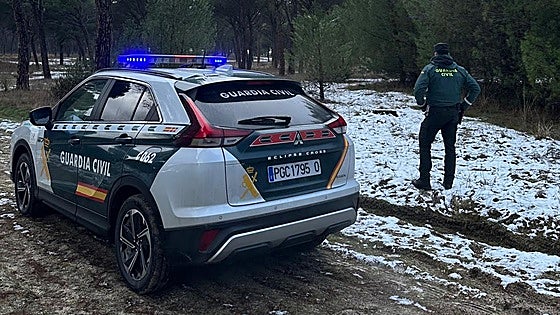 Investigado por el robo de más de 500 pinos el hombre contratado para limpiar su parcela