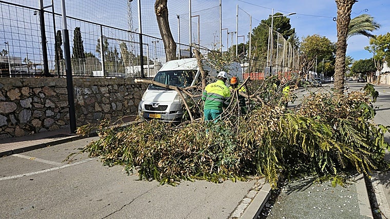 Funcionários municipais cortam galhos de árvores em Huercal-Overa