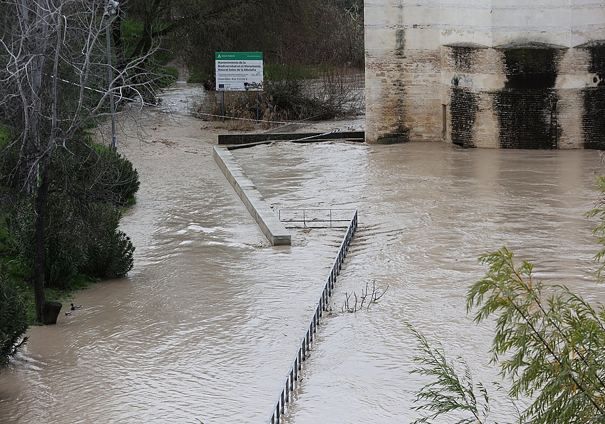 Del Rio Azmen El río Guadalquivir amenaza Almodóvar del Río con un posible desbordamiento