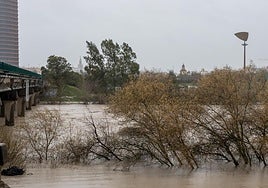 Alerta en Sevilla y Andalucía por lluvias, vientos y tormentas, en directo: última hora de la borrasca Marta, inundaciones, carreteras cortadas, avisos de la Aemet