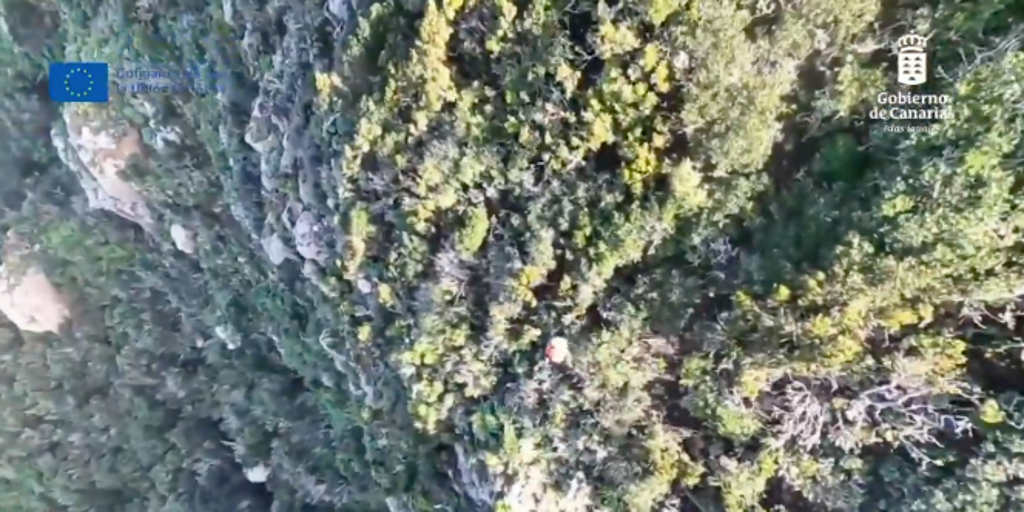 Localizada tras una noche a la intemperie una senderista de 75 años perdida en Tenerife