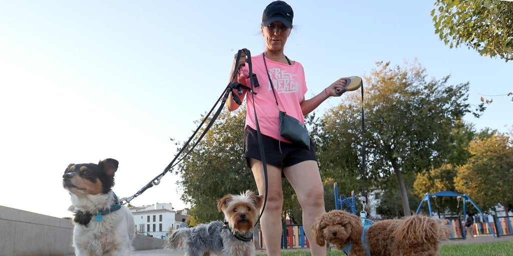 Castilla-La Mancha registró en 2025 más altas de perros que nacimientos de niños