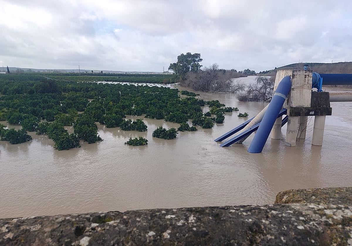 Asaja Córdoba solicita a los ayuntamientos la exención del IBI de ...