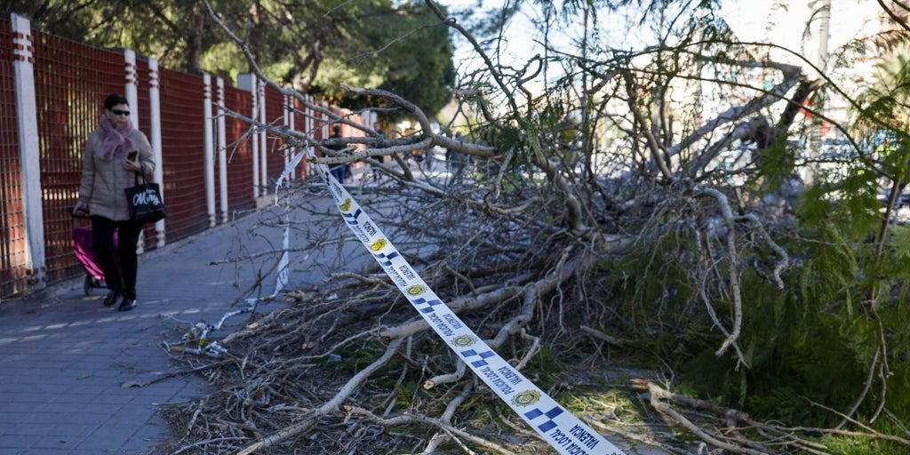 Alerta naranja por fuerte viento: Valencia cierra parques y jardines y suspende actividades al aire libre