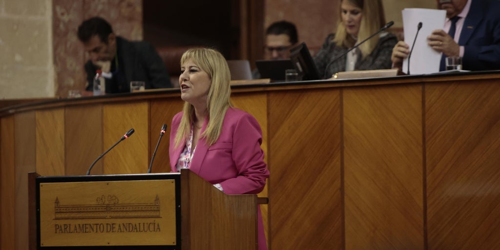 La financiación reabre la brecha entre el Gobierno y la oposición en el Parlamento andaluz