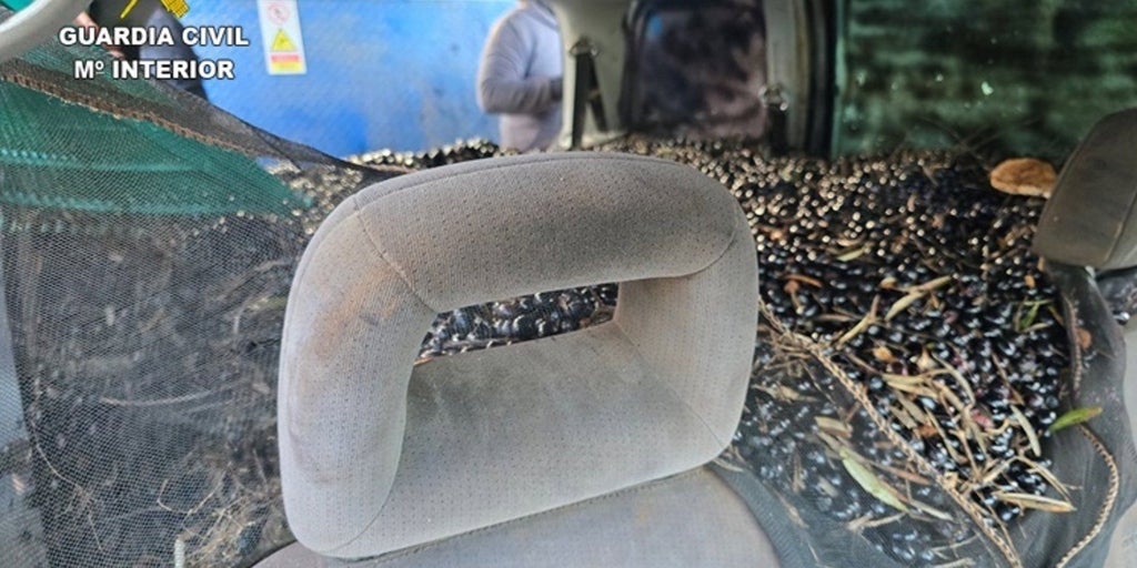 La Guardia Civil detiene a dos personas por hurtar aceituna en Malagón y Villarrubia de los Ojos (Ciudad Real)