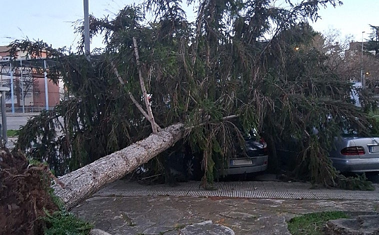 Imagen principal - Un herido crítico y cuatro graves por el temporal de viento en Cataluña