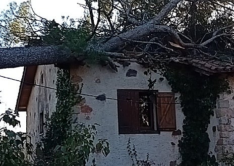 Imagen secundaria 1 - Un herido crítico y cuatro graves por el temporal de viento en Cataluña
