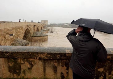 La fragilidad del felpudo