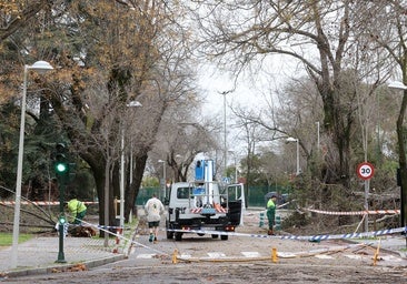 Más de mil incidencias y 200 baches en carreteras tras el paso del temporal en Córdoba